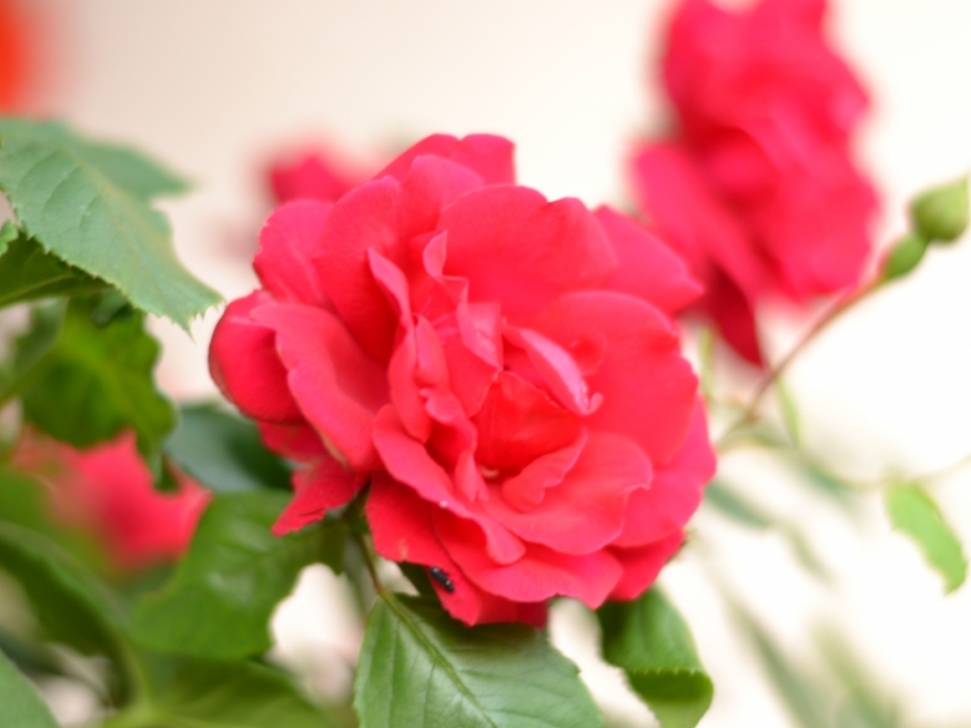 large_article_DSC_0053.jpg
