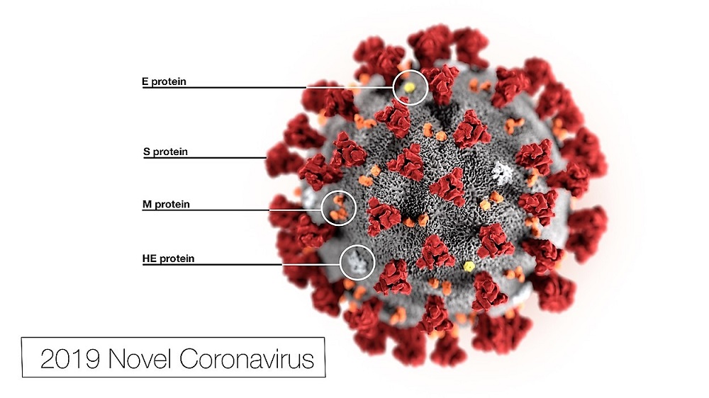 KORONAVIRUS15.jpg